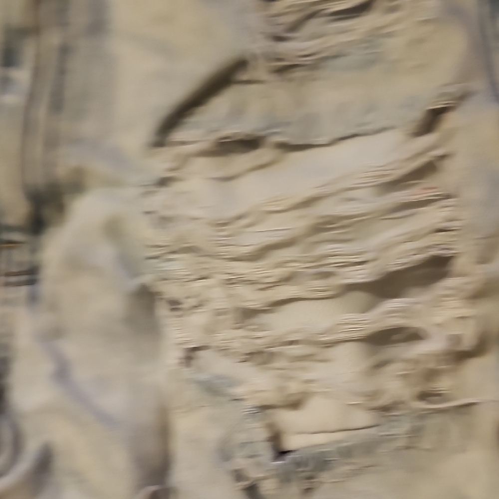 Distressed Denim Shorts - Picture 7 of 10